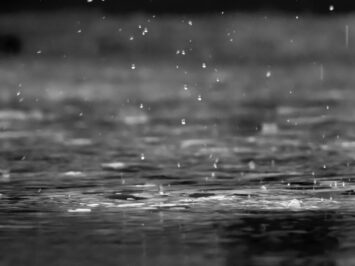 Rain on a lake. Photo: Reza Shayestehpour.